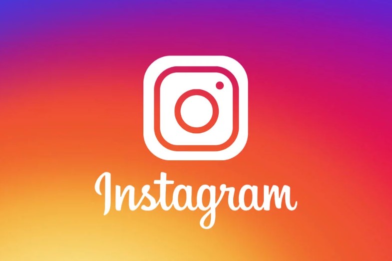 Instagram Unleashed: Strategies for Massive Follower Gain