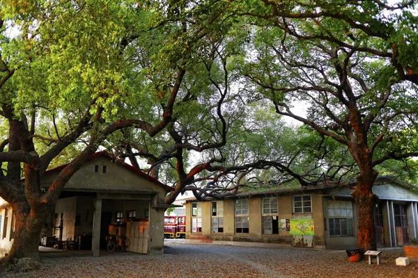 Guest Insights That Reflect Real Hospitality in Westgate Resorts Reviews